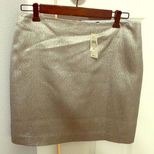 Ann Taylor Silver Skirt